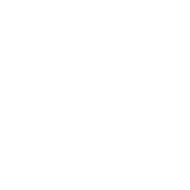 2 5 1 e1759558853855